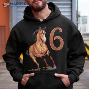 6th birthday horse gifts shirt for 6 year old equestrian hoodie