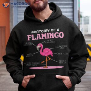 anaotomy of a flamingo shirt hoodie