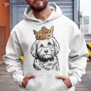 cavapoo dog wearing crown shirt hoodie