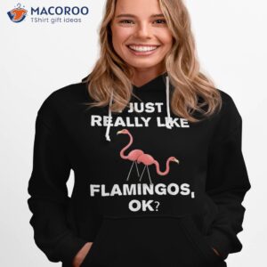 Funny Flamingo Shirt Pink Flamingos Lover Gift Ideas Kids