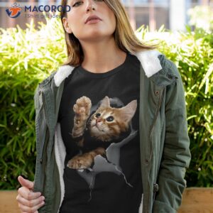 Lovely Kitten Cracked Wall Shirt Cats Tee Gifts