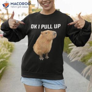 ok i pull up funny capybara costume man women boys girls shirt sweatshirt 1