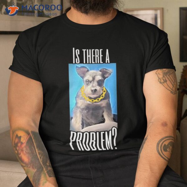 Schnauzer Gifts &acirc;€“&acirc;&nbsp;”is There A Problem?” Funny Dog Shirt