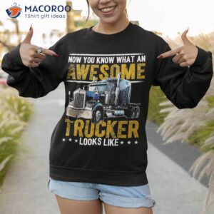 awesome trucker big rig semi trailer truck driver gift shirt sweatshirt