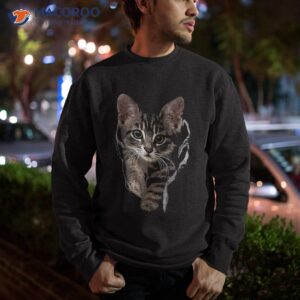 brown kitten staring cute shirt cats tee gifts sweatshirt