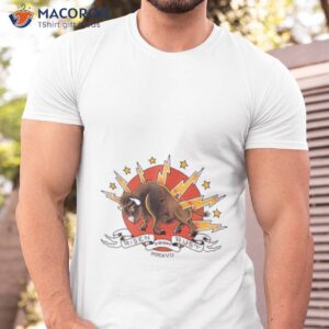 buffalo flash risen from rust shirt tshirt