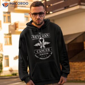 cancer survivor veteran chemotherapy warrior shirt hoodie 2