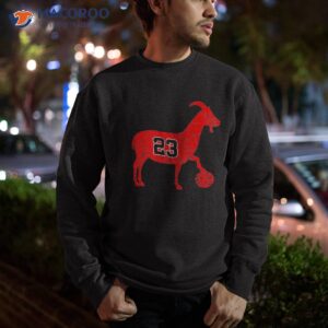 goat 23 shirt hoodie for kids funny basketball sweatshirt