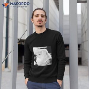 Hail To The Ern King Shirt 2 hail to the ern king shirt sweatshirt 1