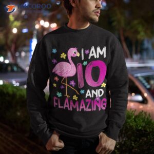 i am 10 and flamazing amazing 10th birthday flamingo lover shirt sweatshirt