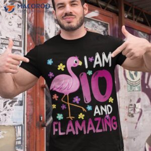 i am 10 and flamazing amazing 10th birthday flamingo lover shirt tshirt 1