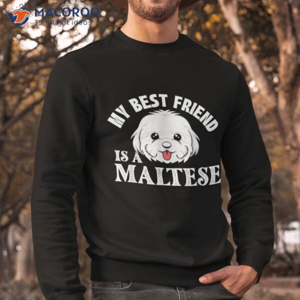 My Best Friend Is A Maltese – Dog Lover Puppy Owner Shirt