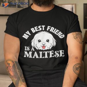 My Best Friend Is A Maltese – Dog Lover Puppy Owner Shirt