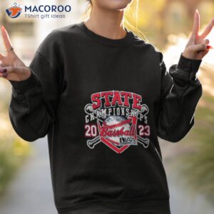 state championships 2023 baseball diaa shirt sweatshirt 2