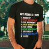 The Perfect Gaming Day Suprise For Gamers Shirt