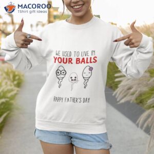 we used to live in your balls happy fathers day shirt sweatshirt 1