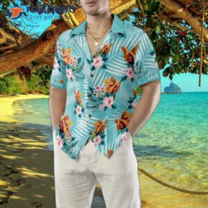 cat wears an aloha hawaiian shirt 4
