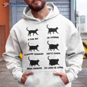 chonk cat chart shirt hoodie