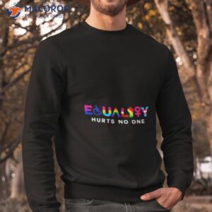 equality hurts no one lgbt pride shirt sweatshirt