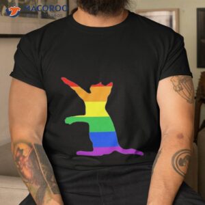 gay cat lgbtq gay pride kitten shirt tshirt