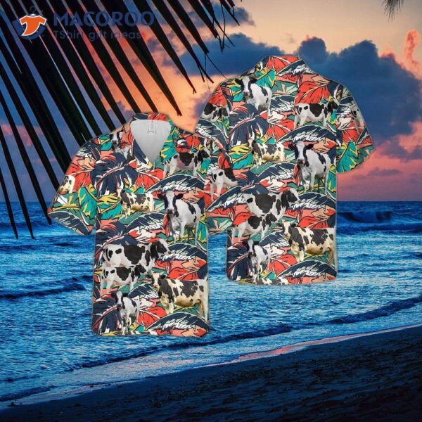 Holstein Friesian Cattle And Tropical Hawaiian Shirts.