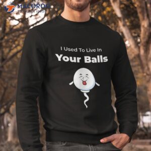 i used to live in your balls funny silly father s day shirt sweatshirt