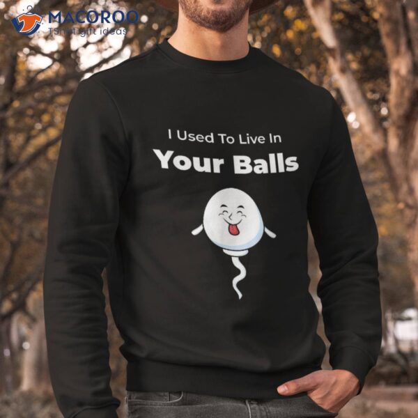 I Used To Live In Your Balls Funny, Silly Father’s Day Shirt