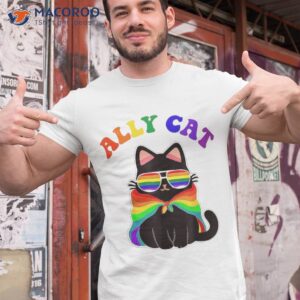 lgbt ally cat be kind gay rainbow funny lgbtq gift idea shirt tshirt 1 1