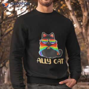 Lgbt Ally Cashirt 2 lgbt ally cat shirt sweatshirt