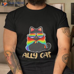 lgbt ally cat shirt tshirt