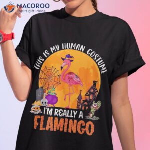 my human costume i m really a flamingo halloween witch lover shirt tshirt 1