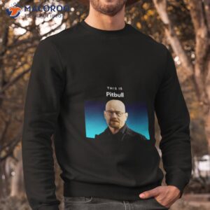 pitbull tee sweatshirt