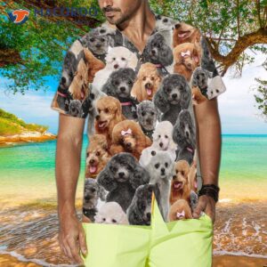 poodles in different colors poodle hawaiian shirt the best dog shirt for and 0
