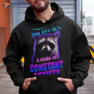 snazzy seagull design what state do you live in a state of constant anxiety raccoon shirt hoodie