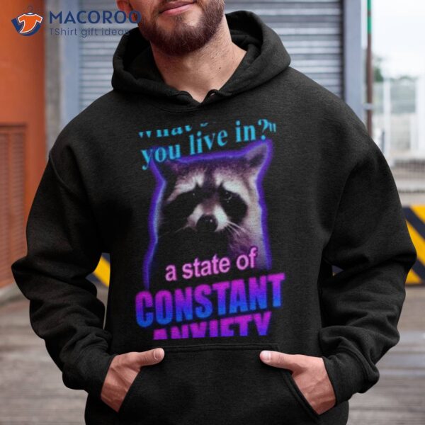 Snazzy Seagull Design What State Do You Live In A State Of Constant Anxiety Raccoon Shirt