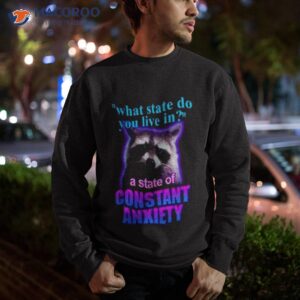 snazzy seagull design what state do you live in a state of constant anxiety raccoon shirt sweatshirt