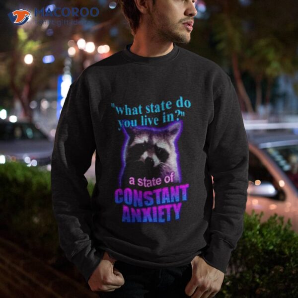 Snazzy Seagull Design What State Do You Live In A State Of Constant Anxiety Raccoon Shirt