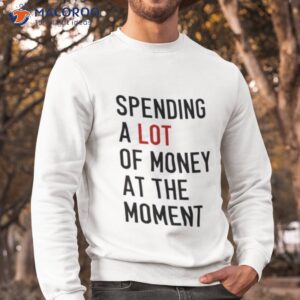 spending a lot of money at the moment shirt sweatshirt