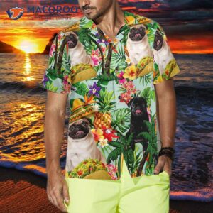 taco pugs are ready for summer in hawaiian shirts 3