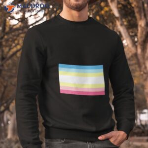 The Pedophilia Pride Flag Shirt 2 the pedophilia pride flag shirt sweatshirt