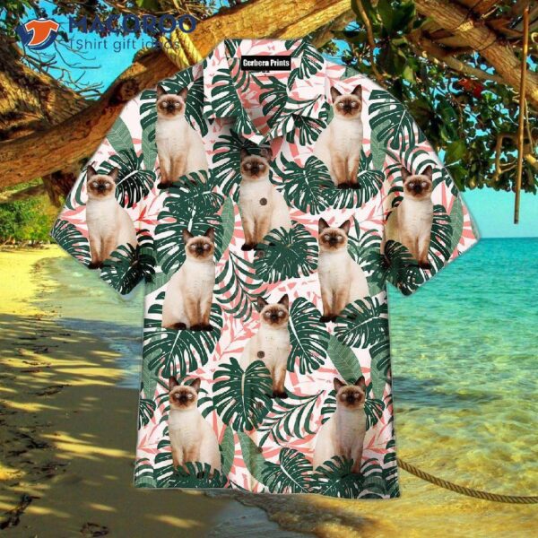 A Birman Kitten Is Sitting On Summer Tropical Patterned Hawaiian Shirt.