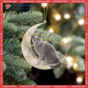 A British Shorthair Cat Sits On The Moon, Hanging Flat, Custom-shaped Christmas Acrylic Ornament.