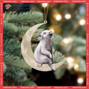 A Pig Sitting On The Moon, Hanging Flat Custom-shaped Christmas Acrylic Ornament