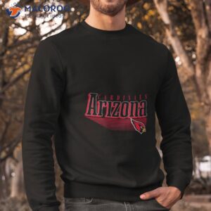 arizona cardinals lines logo sport 2023 shirt sweatshirt