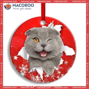 Christmas Cat Funny Kitten Red Background Winter Snowy Circle Ceramic Ornament, Hallmark Cat Ornaments