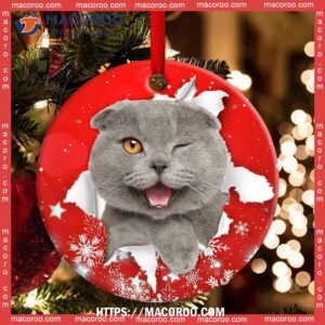christmas cat funny kitten red background winter snowy circle ceramic ornament hallmark cat ornaments 1