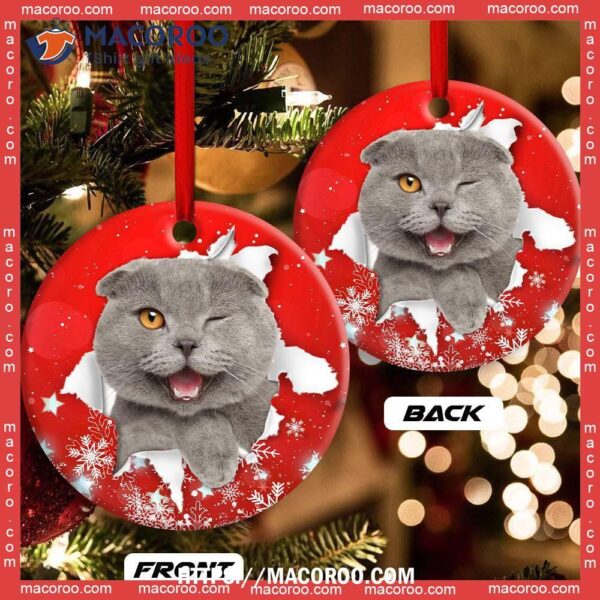 Christmas Cat Funny Kitten Red Background Winter Snowy Circle Ceramic Ornament, Hallmark Cat Ornaments