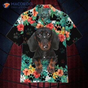 Dachshunds Wearing Colorful Hawaiian Shirts