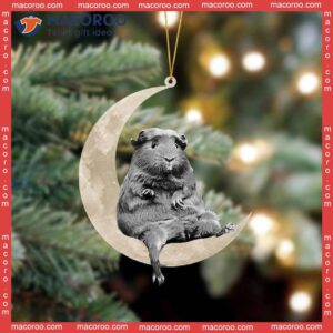 Guinea Sits On The Moon, Hanging A Flat, Custom-shaped Christmas Acrylic Ornament