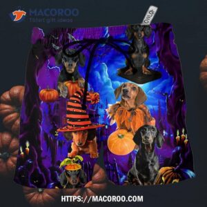 Halloween Dachshund Never Mind The Witch Hawaii Shorts